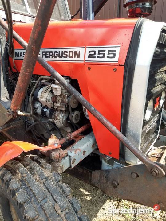 Sprzedam ciągnik rolniczy MF255 wielkopolskie Rychwał