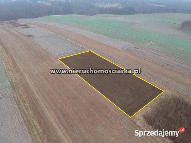 sprzedaży gruntu 6383m2 Wodzisław Śląski śląskie