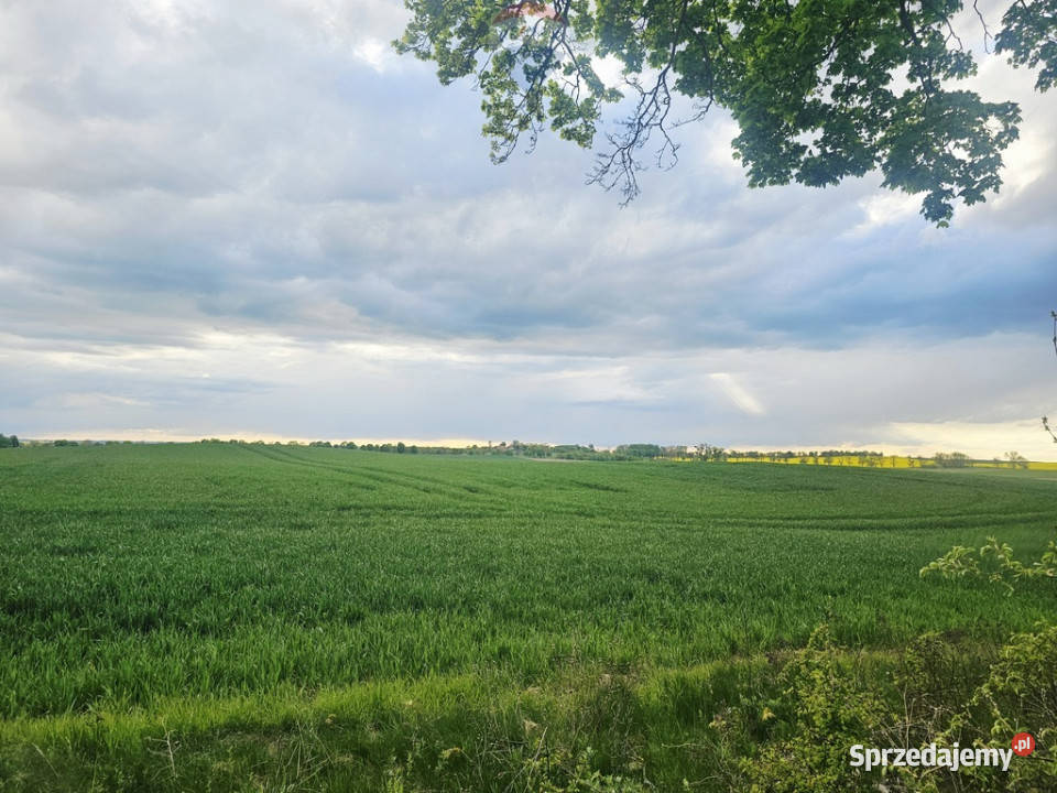 Ziemia rolna na sprzedaż Dębnik k Reszla