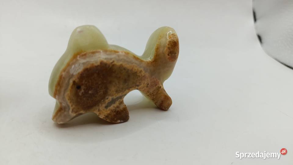 Figurki ozdoby z kamienia małe pies delfin żółw Zamość