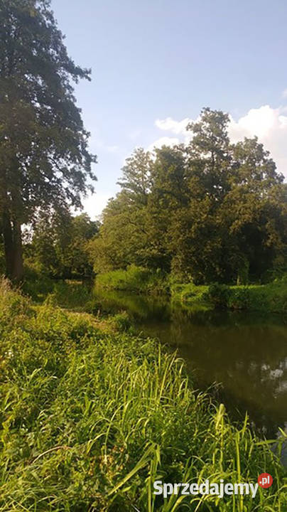 Działka rzeką Rawką