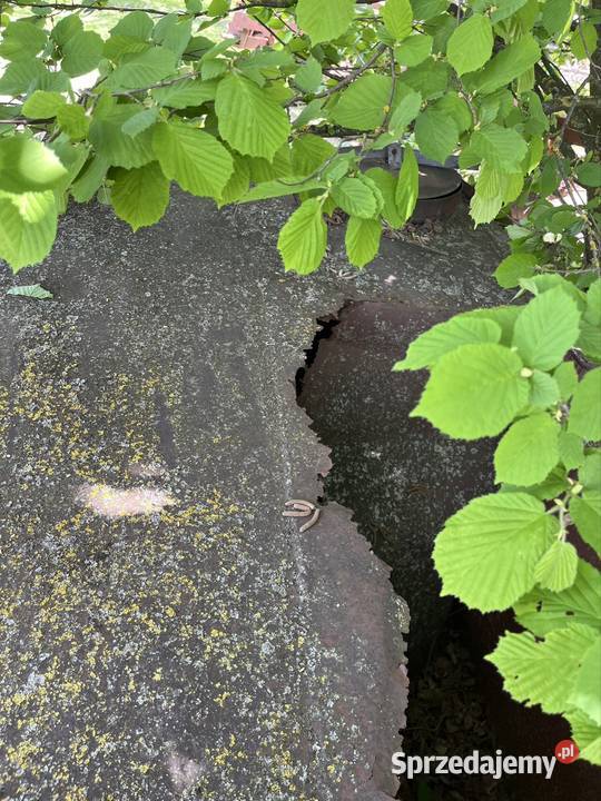 przyczepa strazaczka na wode mazowieckie Zwoleń