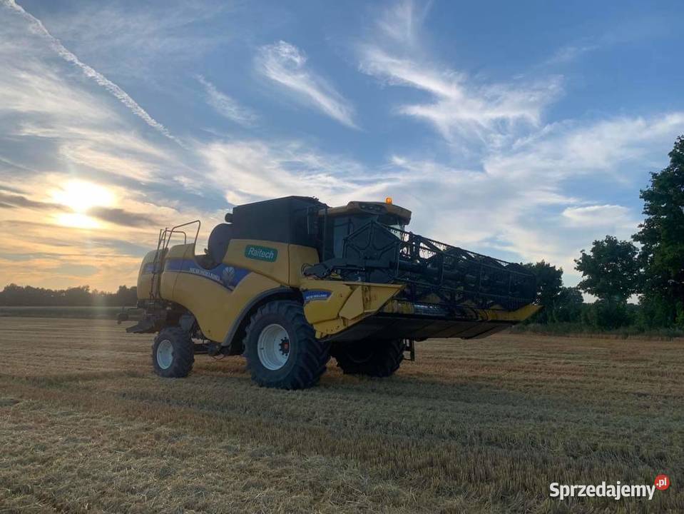 Holland cx 6080 Zbożowe Mogilno
