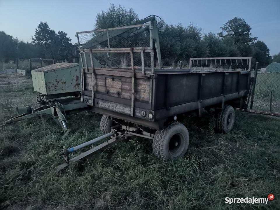 Rozrzutnik Czarna Białostocka nieuszkodzony Warszówka