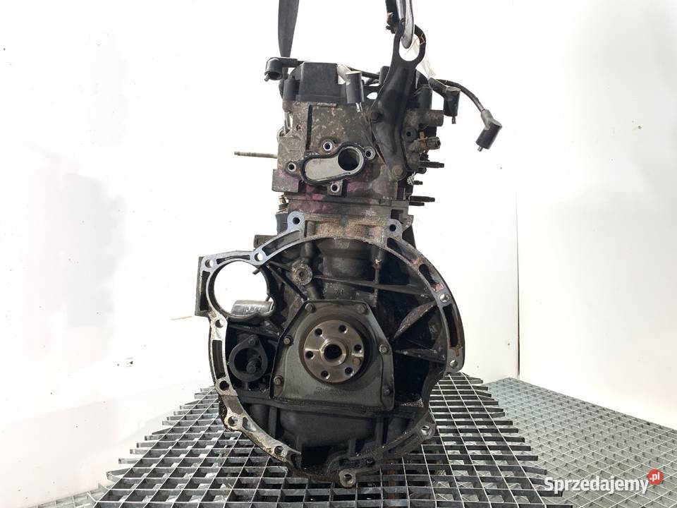 SILNIK FORD 12 82 SNJA FIESTA MK7 podkarpackie