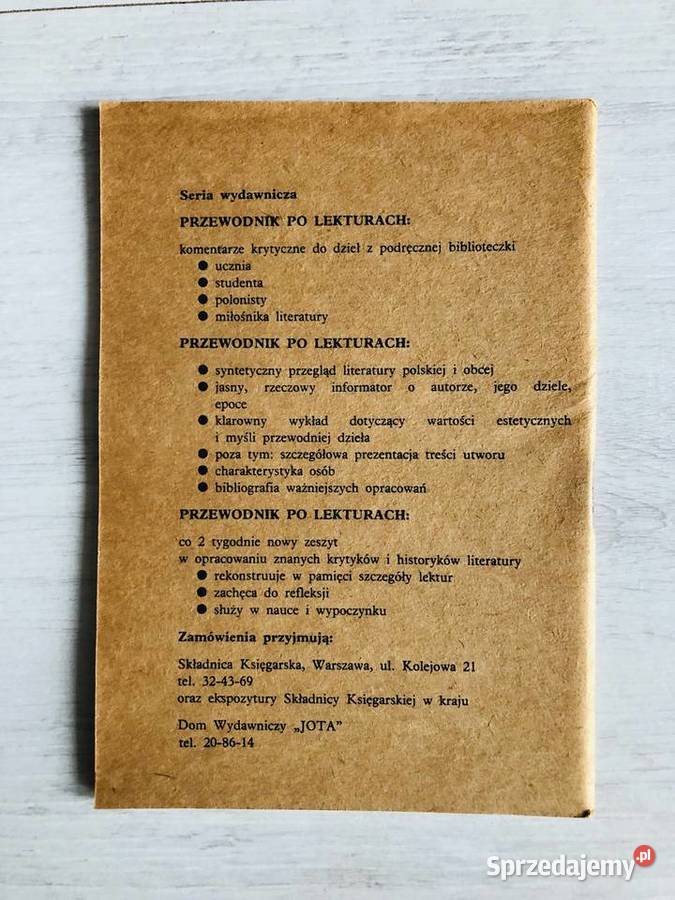 Johann Goethe Cierpienia Młodego Wertera miękka Łódź