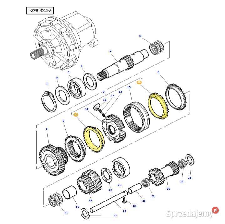 Pierścień synchronizatora Massey Ferguson Białystok