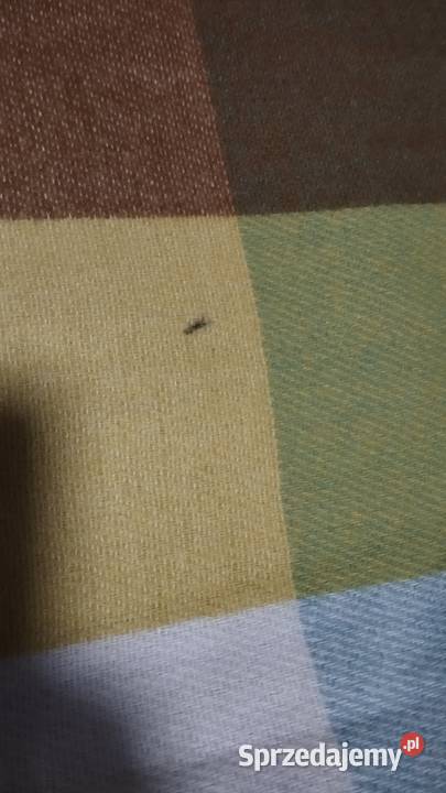 szal damski Dla kobiet