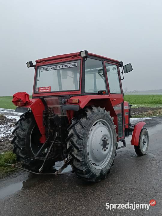 Massey Ferguson 255 mazowieckie Szczawin Kościelny