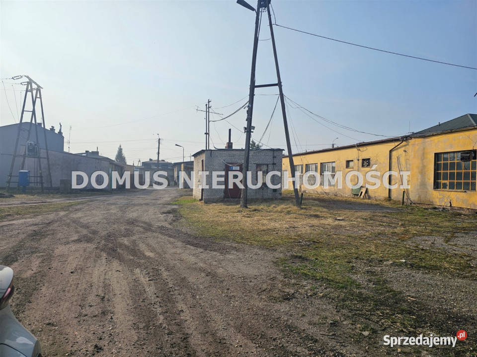 Lokal wynajmę Brzeziny 250m2