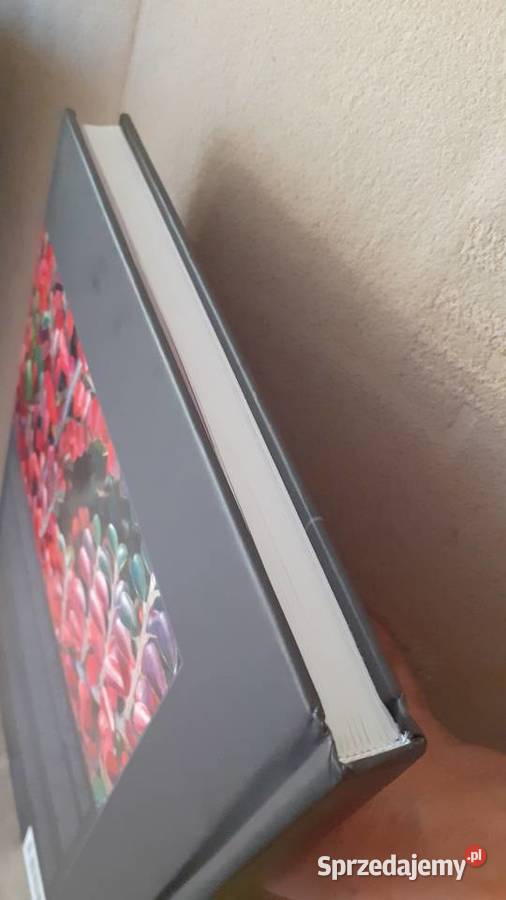 Irgi uprawiane w Polsce Szczecin