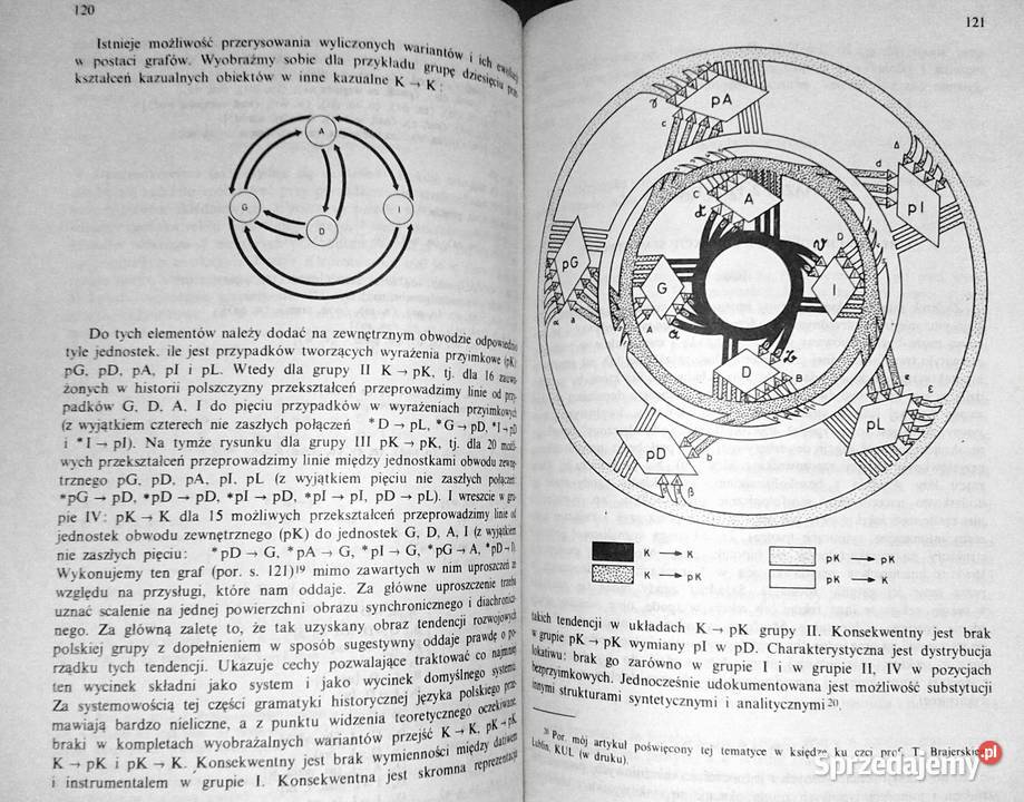Historia składni języka polskiego Krystyna miękka