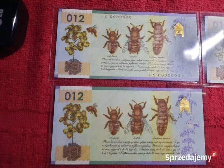 BANKNOT testowy PWPW polimerowy Pszczoła miodna Warszawa sprzedam