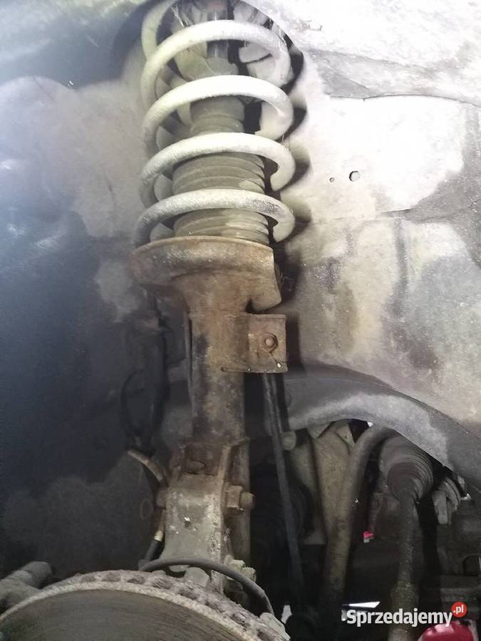 CHEVROLET EQUINOXPONTIAC TORENT McPERSON 0509 R Amortyzatory Kawnice