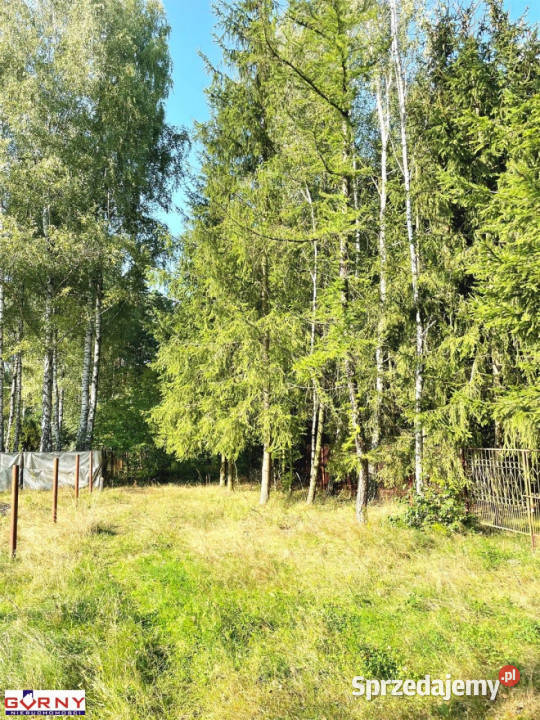 Grunt Łęg Ręczyński 947m2 947m2 łódzkie