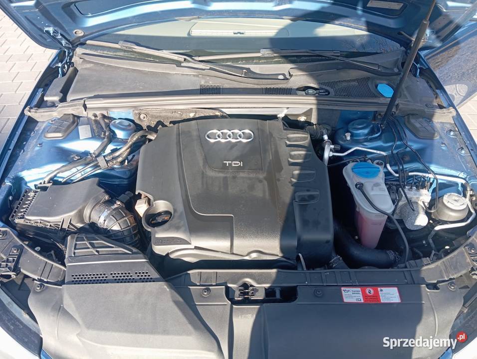 Audi A4 20tdi 170 z Niemiec 2009rXenon Łuków