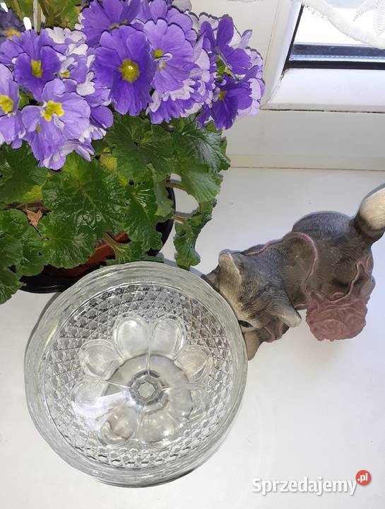 Pucharek cukiernica kwiatek Ząbkowice PRL Sosnowiec