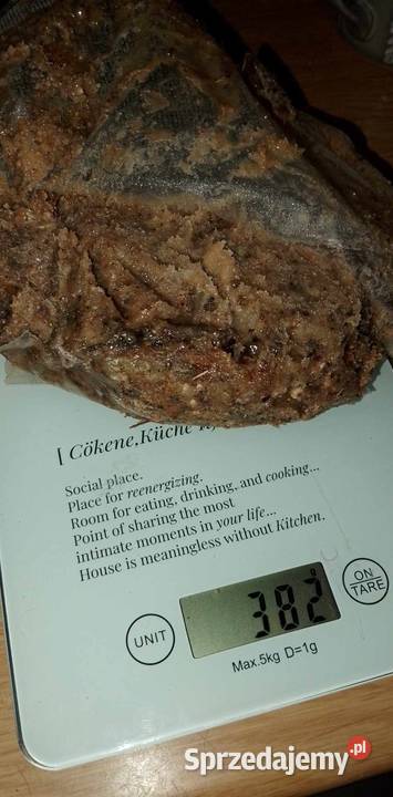 Żywica świerkowa Piecki