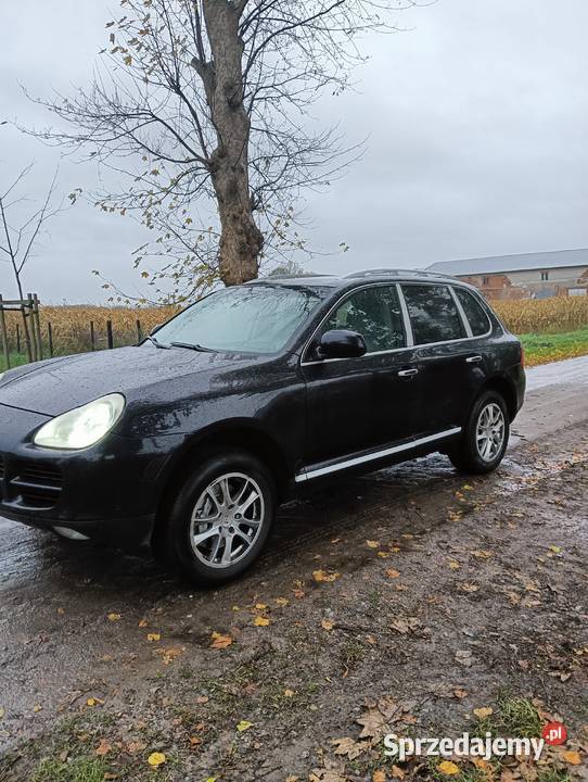 Sprzedam Porsche Cayenne poj silnika 4 5 benzyna 4500cm3 Pobiedziska