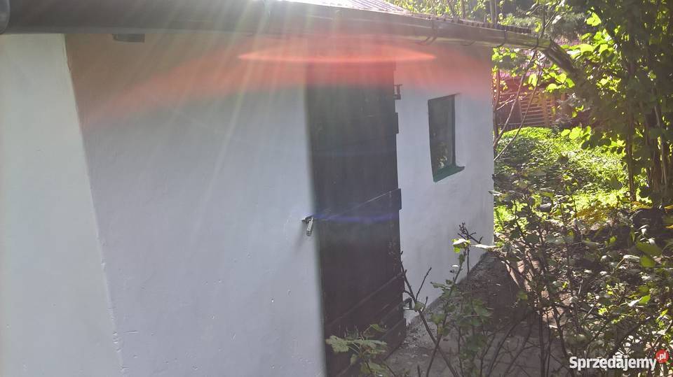 Działka ROD POD DĘBEM Szczecin Pilchowo sprzedam