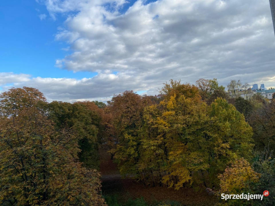 Metrze Marymont i Parku Bezpośrednio Kawalerka Warszawa