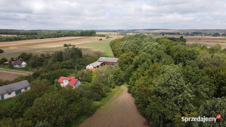 Siedlisko na sprzedaż Sprzedaż Płonka