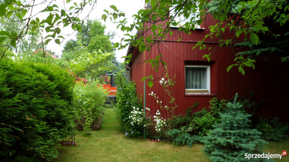 sprzedam działkę ROD Wolica prąd Wolica