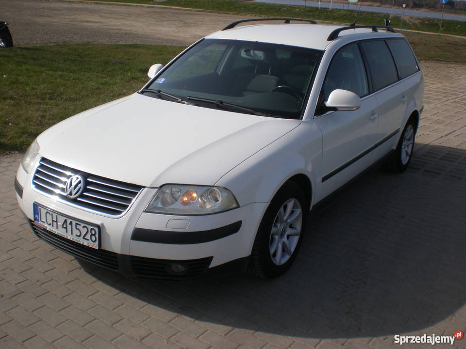 vw passat 19tdi 4motion bialymodnyzadbany 2004 immobilizer Passat Sawin