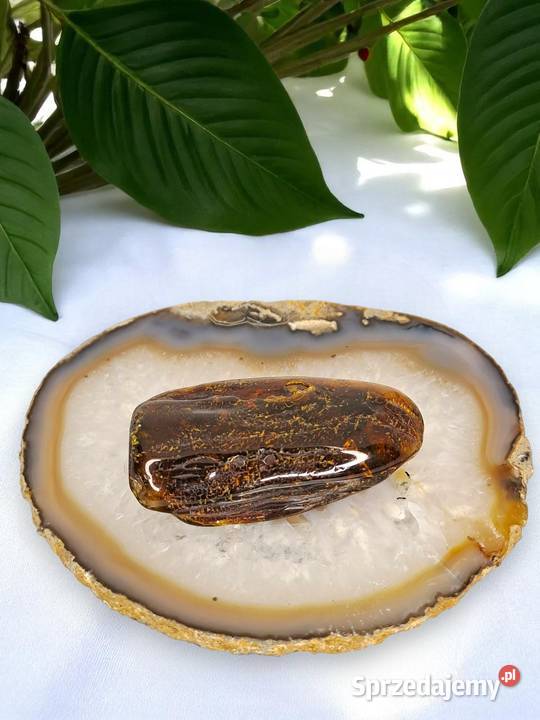 Broszka z bursztynu bursztyn bryłka 1494 Warszawa