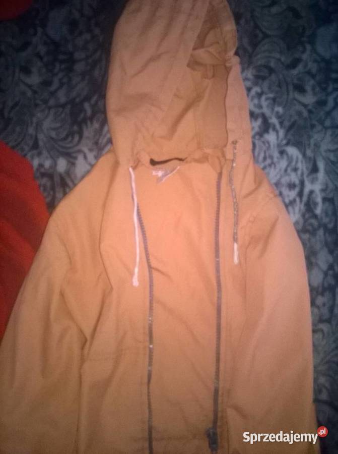 Kurteczka uniwersalna przejściowa Świętajno