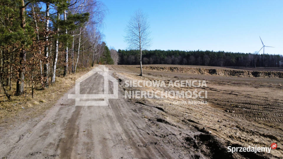 Grunt Lipinki Królewskie 24300m2