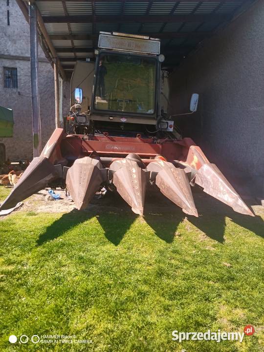 Kombajn fortshritt E 514 w stanie Chwalęcin