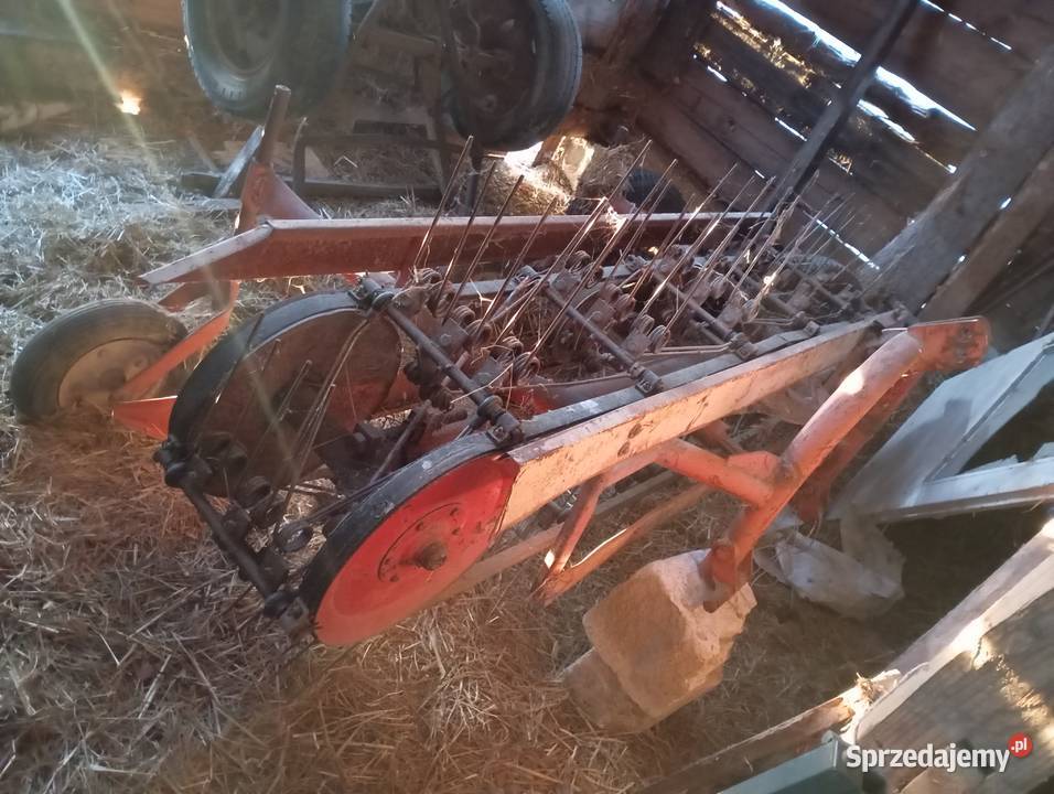 Przewracarka pasowa Maciejów Stary