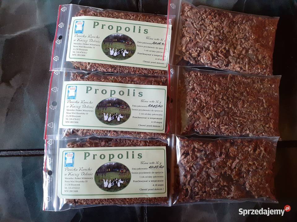 Miód pierzga propolis z własnej pasieki na sprzedam