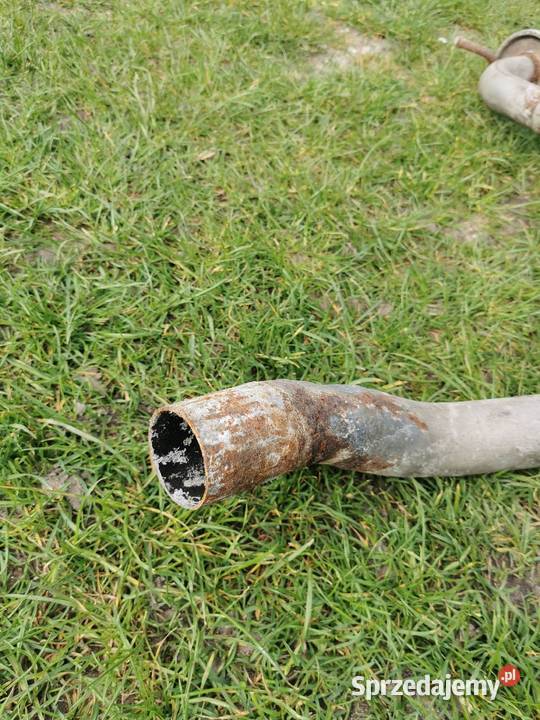 Tlumik sportowy Trzciniec