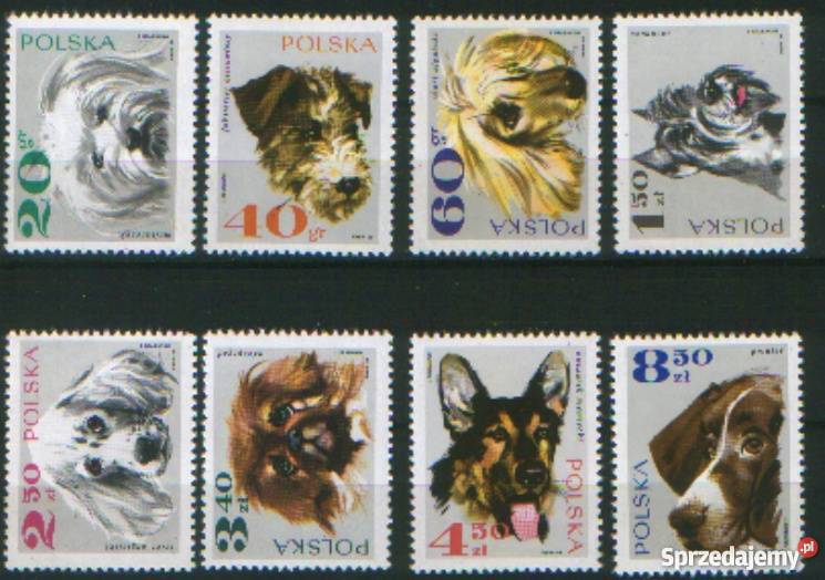 Zn Fi 1751 8 1969 Gliwice