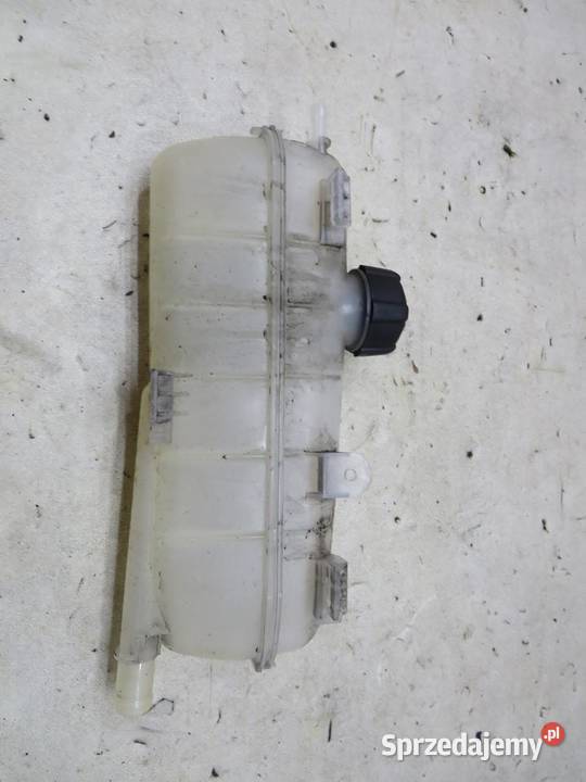 ZBIORNICZEK WYRÓWNAWCZY RENAULT ZOE lubelskie