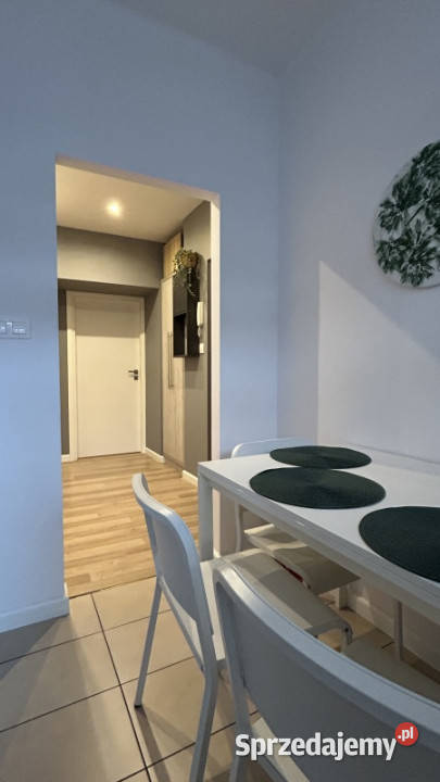 Wynajmę mieszkanie 44m2 Katowice