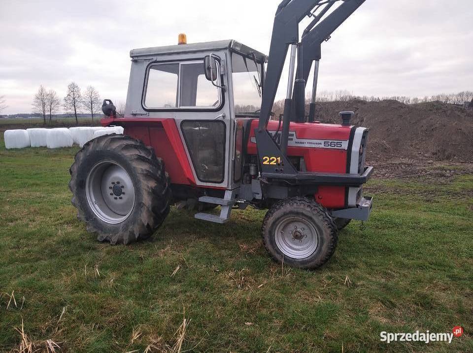 Massey Ferguson 565 Massey Ferguson mazowieckie Radom