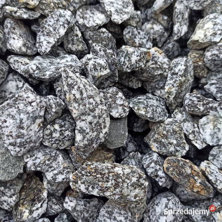 Grys Granitowy Dalmatian szary Kamień ozdobny Ogród Jaworzno