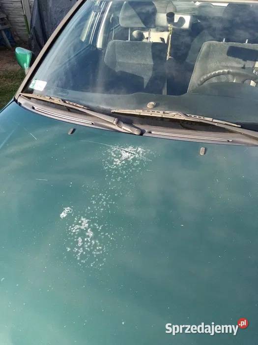 ekonomiczny LPGgaz sprawny Seat Kombi Cordoba Poznań