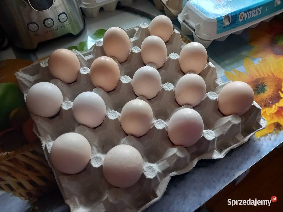 Jajka kurze wiejskie duże 2 żółtka Jaja