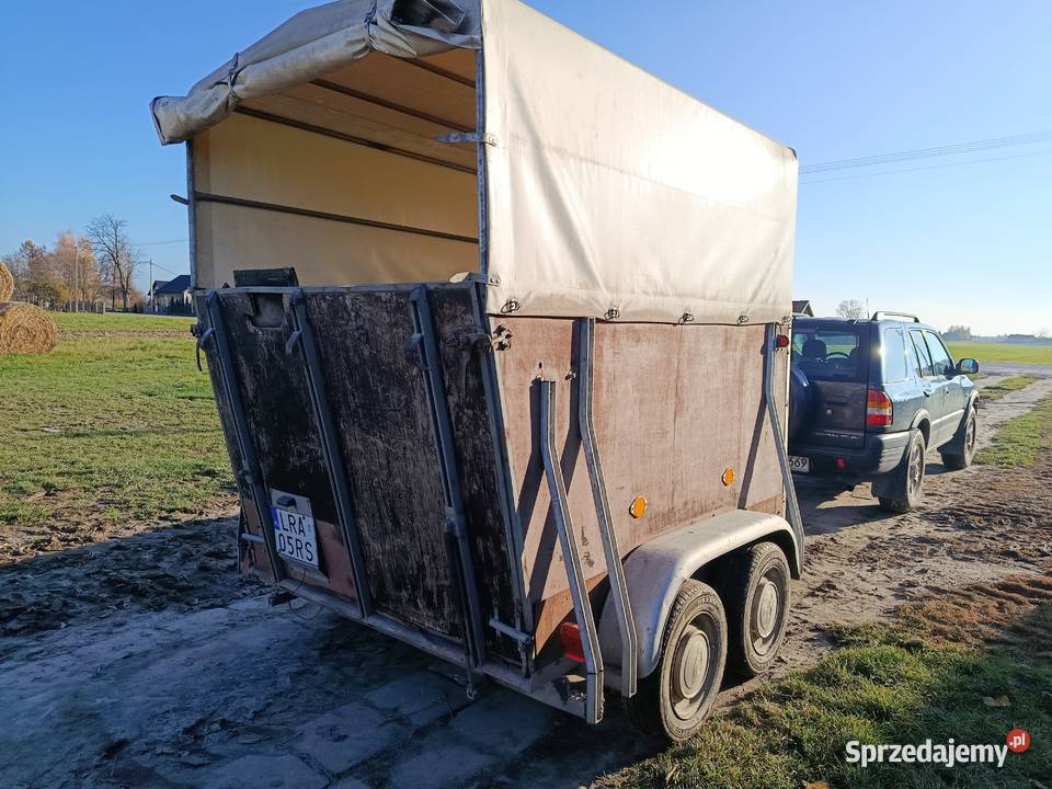 Przyczepa do przewozu koni Radzyń Podlaski sprzedam