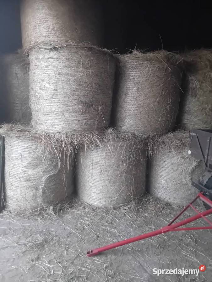 Sprzedam siano Blizocin