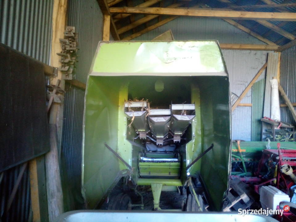 Claas corsar przerobiony do fasoli nieuszkodzony Tuczapy