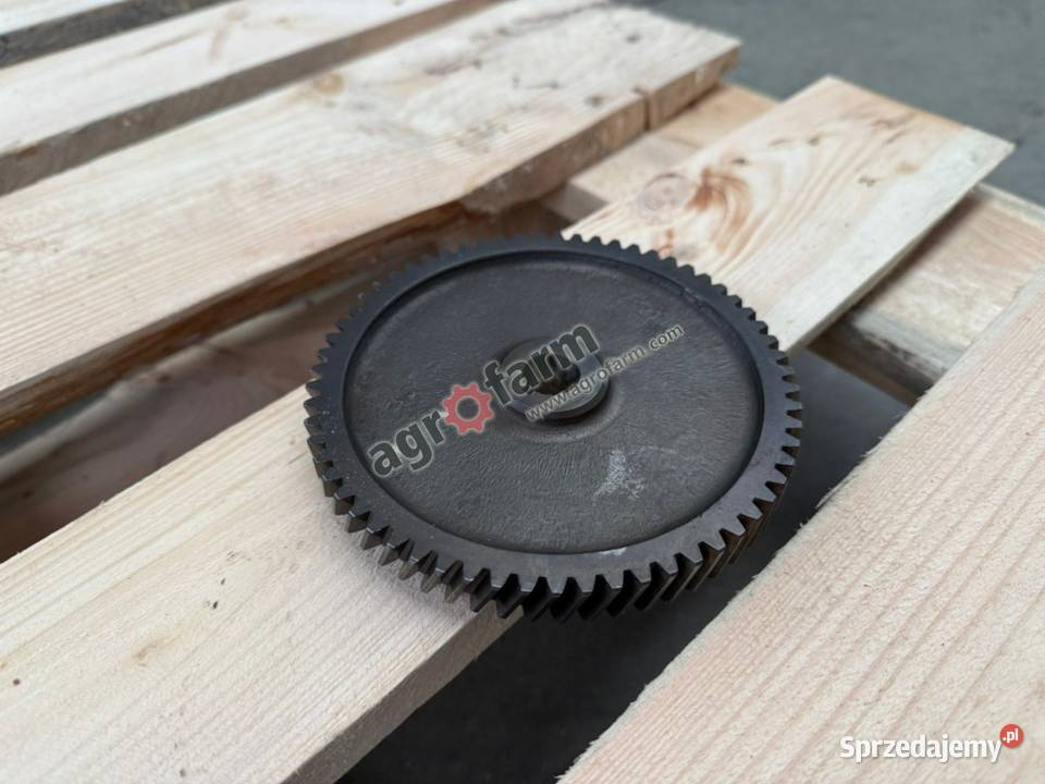 Koło pompy hydraulicznej Z63 Massey Ferguson Byków