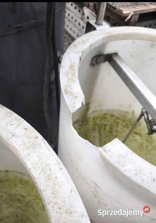 Tubomat karmnik świń automat paszowy Maków Mazowiecki