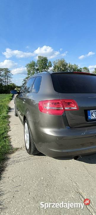 Audi A3 8P TDI 2012r bez wkładu do kontaktu 1649cm3