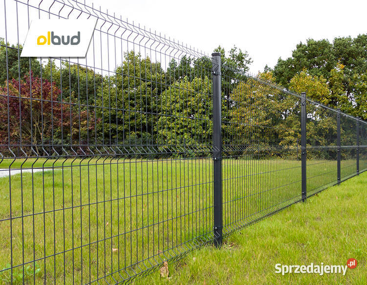 Panel ogrodzeniowy 3D 2030 mm fi4 mm 50x200 mm Straszyn