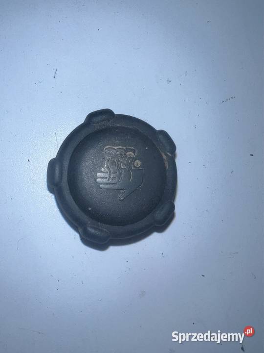 Korek zbiorniczka płynu Renault Megane Scenic II Ostrzeszów